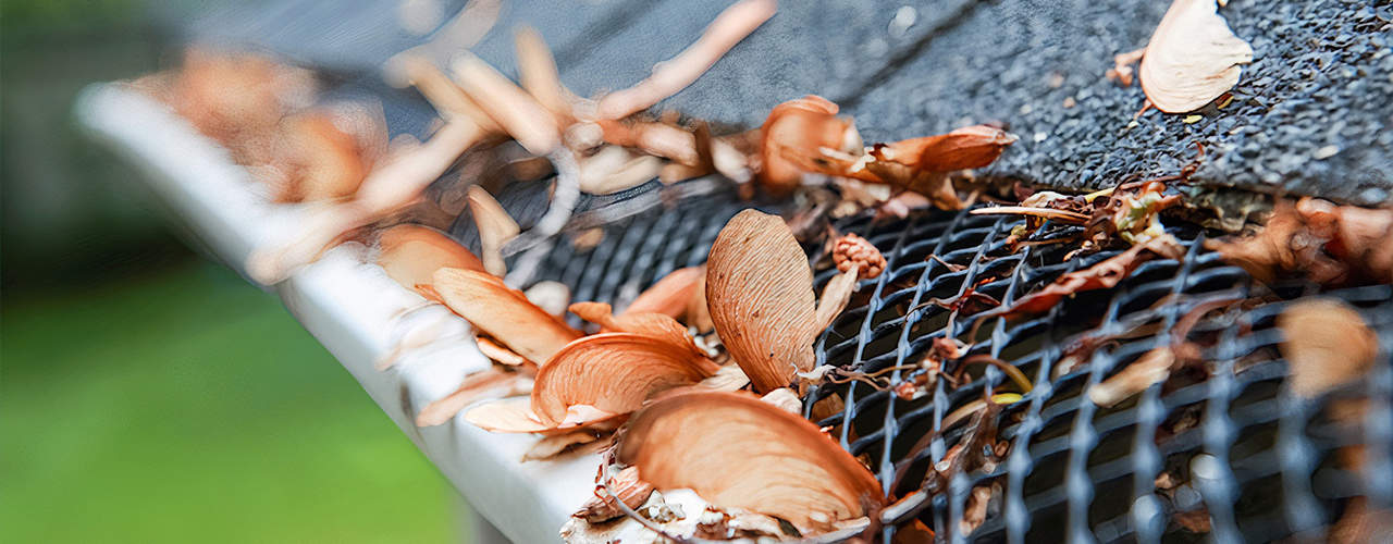 Gutter Guards And Leaf Prevention in North Carolina