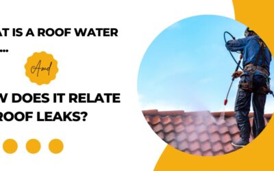 What is a Roof Water Test, and How Does It Relate to Roof Leaks?