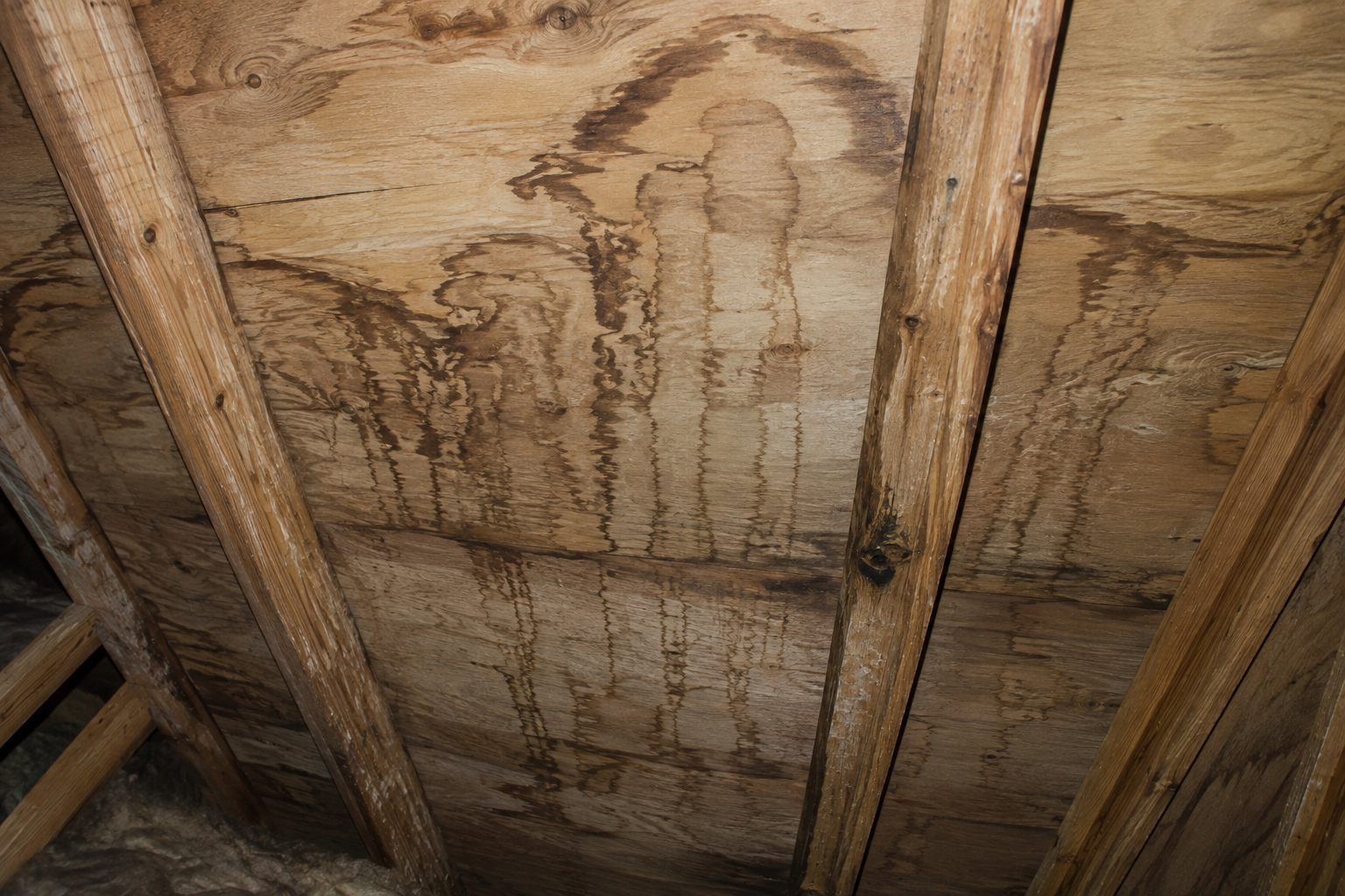 Water stains spreading across attic roof decking.
