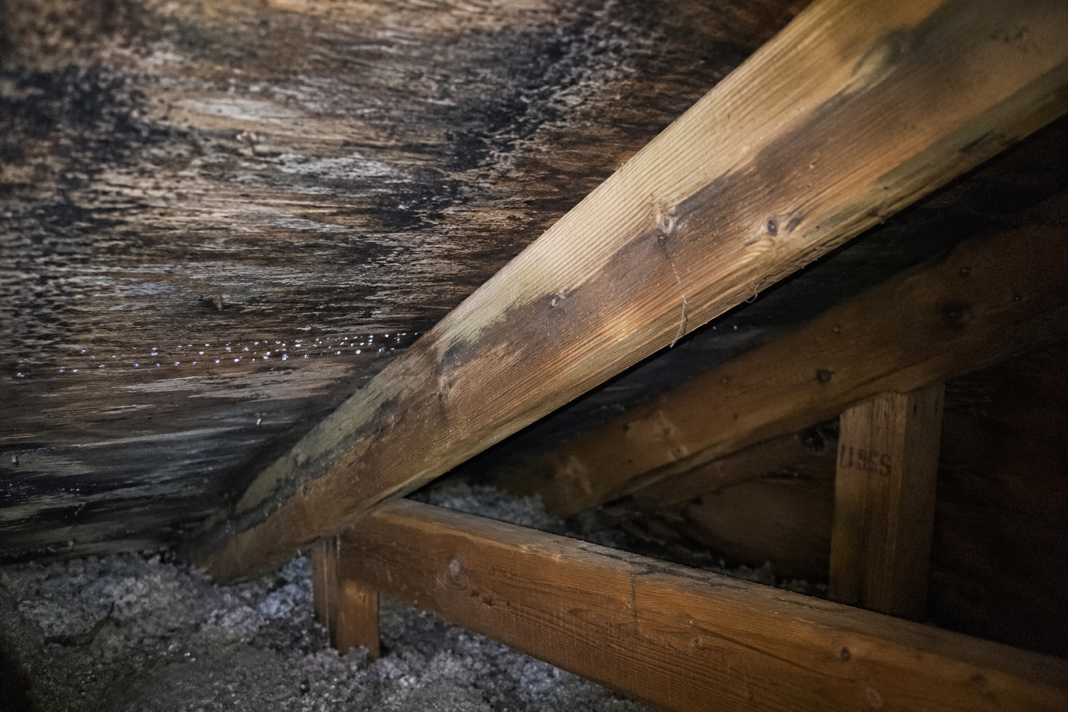 Moisture and mold on attic wood.