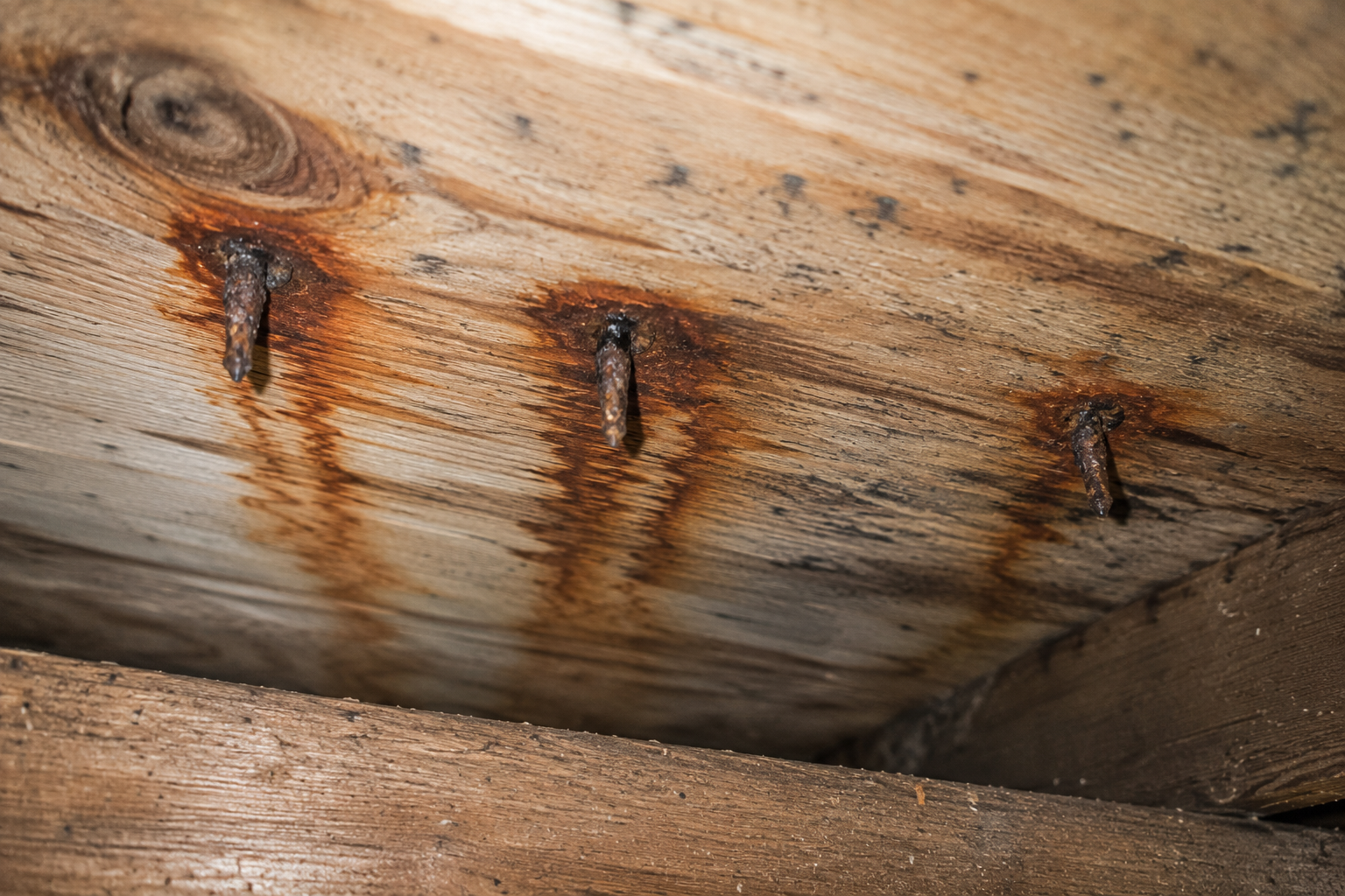 Rusty nails with staining on attic wood.