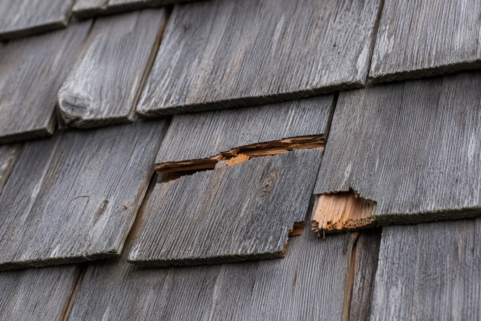 Hail split on wood shingles