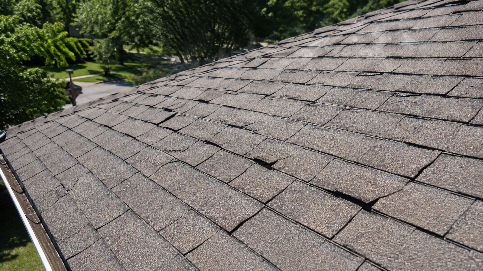 Curled shingles on sun-damaged roof