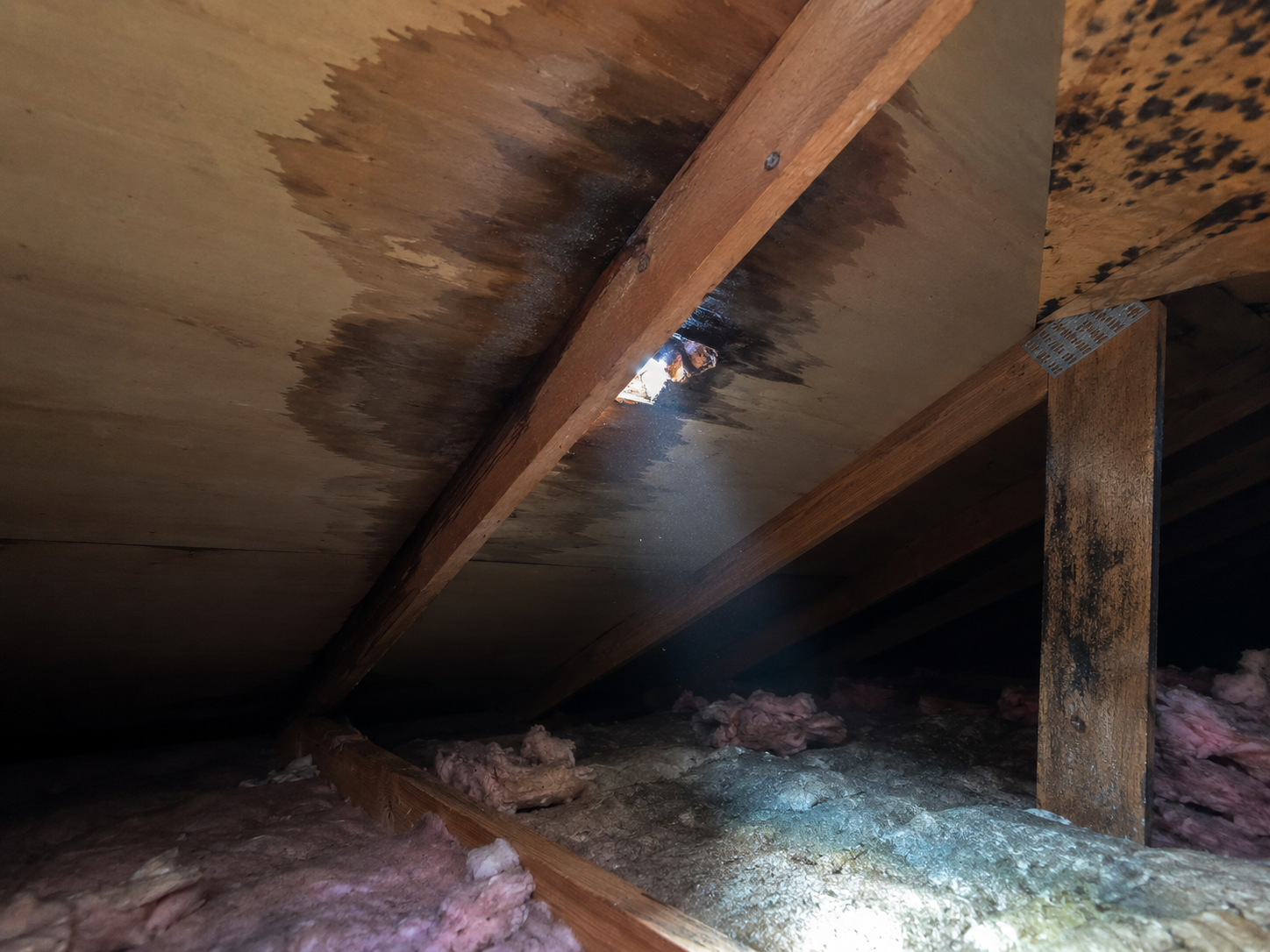 Attic water stain from roof leak