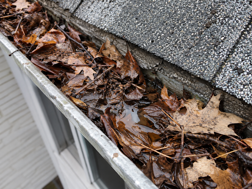 Clogged Gutters & Downspouts
