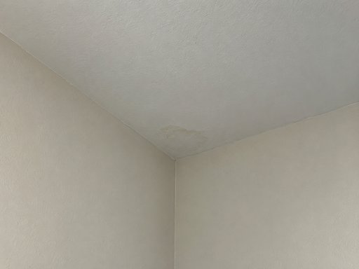 Small Leaks & Water Stains