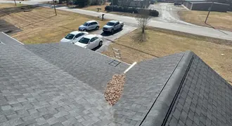 Visual Roof Inspection