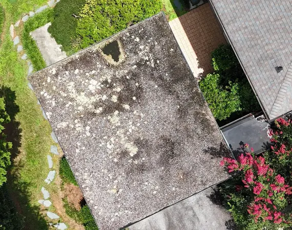 Drone inspection photo of an aging, lichen-covered shingle roof in Winston-Salem, NC